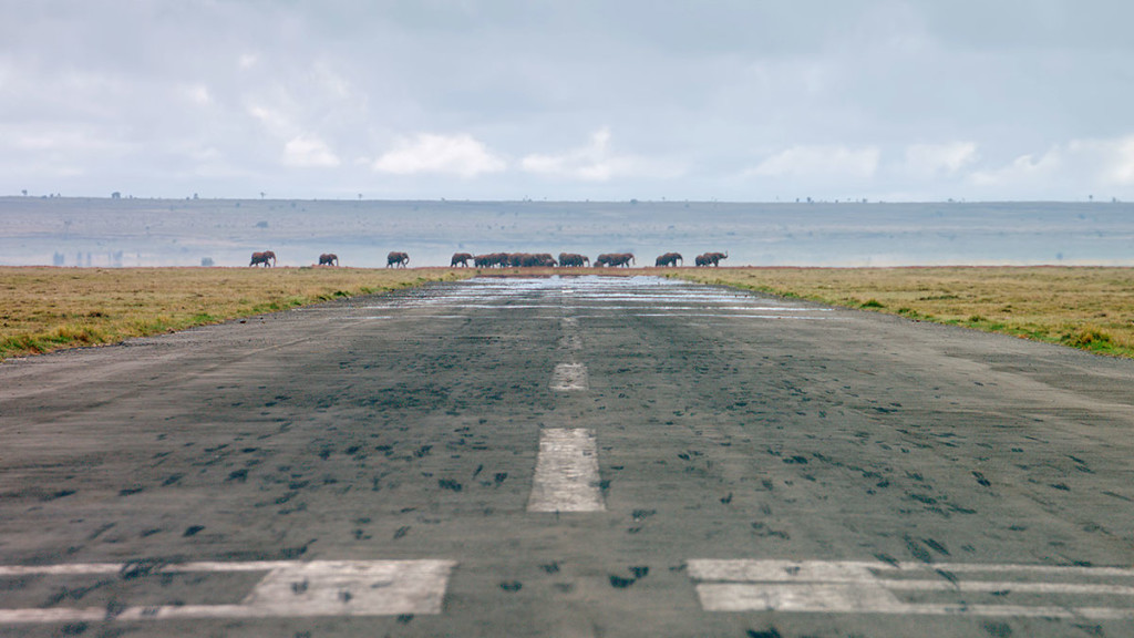 Brian Terwilliger - Flying in the Age of Airplanes - AviatorCast